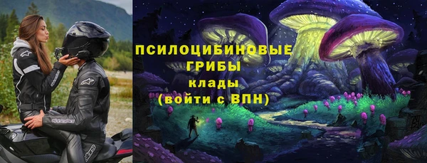 гашик Белокуриха