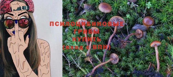 гашик Белокуриха